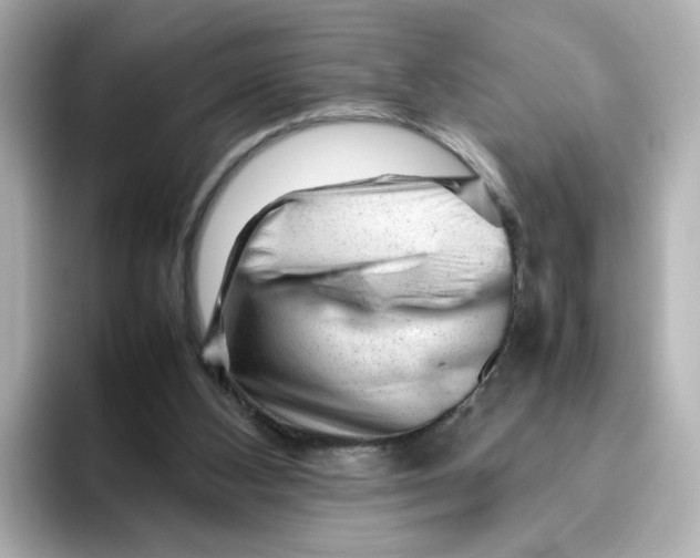 X0000095690108200802051321