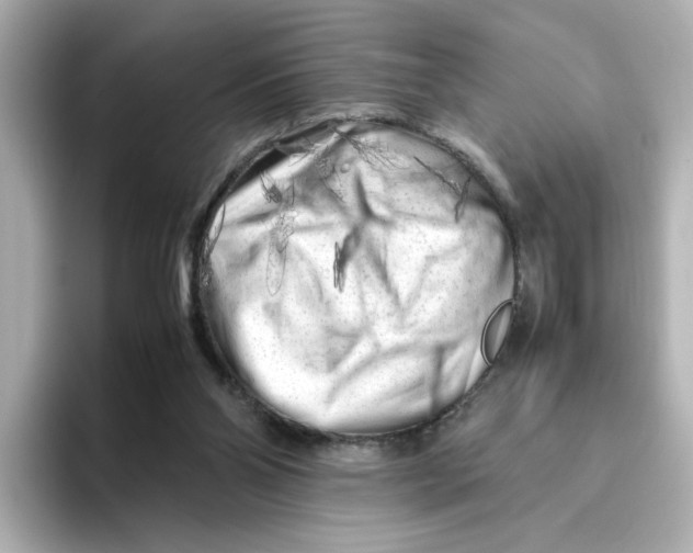 X0000095690110200802051321