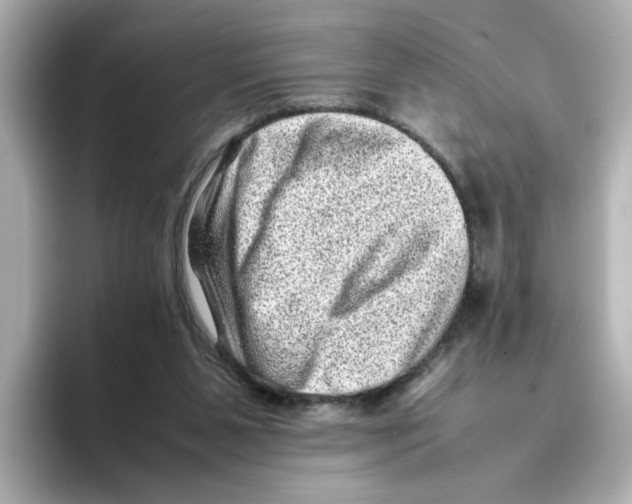 X0000095690111200802051321