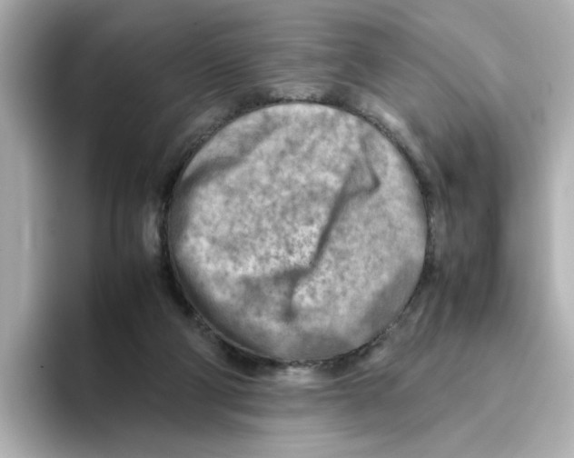X0000095690114200802051321