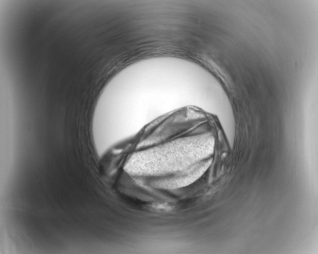 X0000095690117200802051321