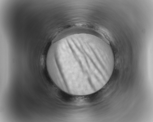 X0000095690121200802051321