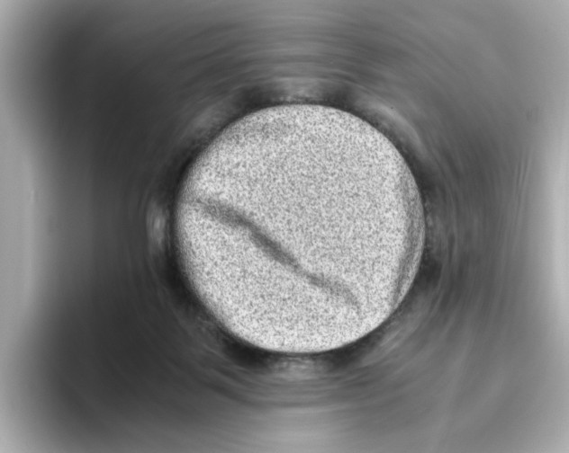 X0000095690123200802051321