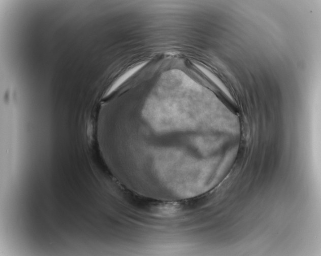 X0000095690124200802051321