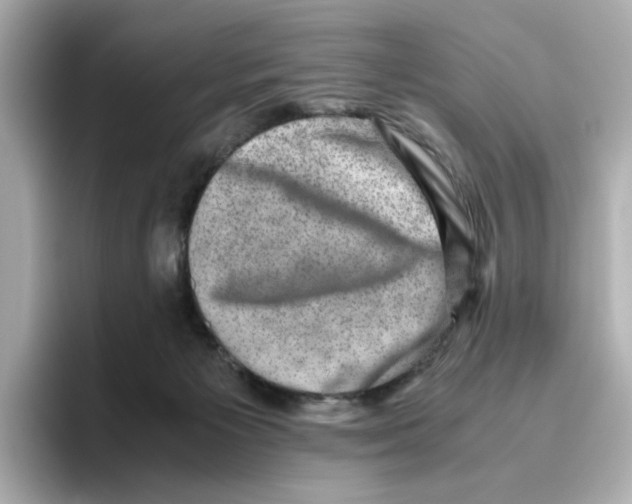 X0000095690125200802051321
