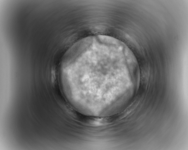 X0000095690130200802051321