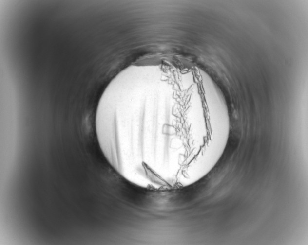 X0000095690131200802051321