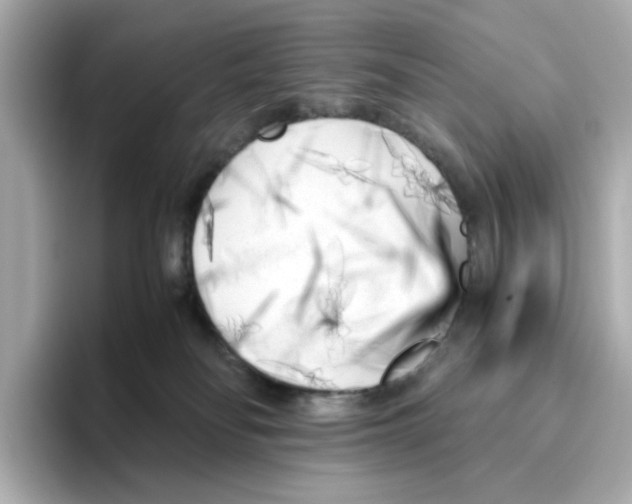 X0000095690134200802051321