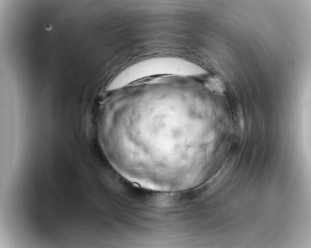 X0000095690136200802051321