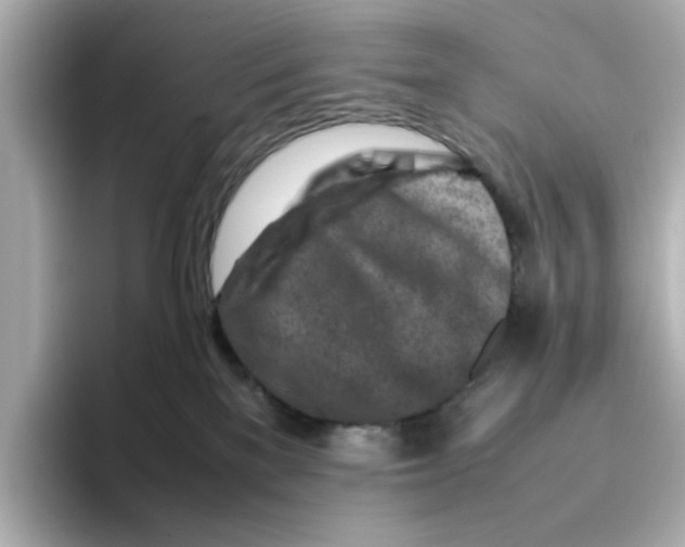 X0000095690137200802051321