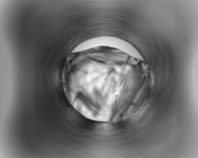 X0000095690140200802051321