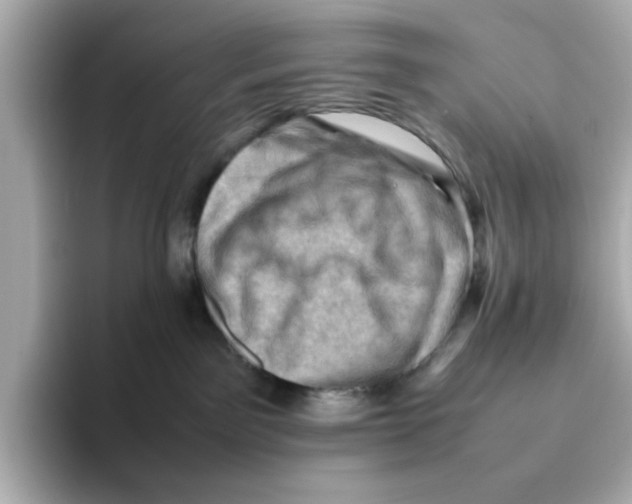 X0000095690141200802051321