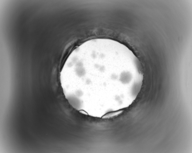 X0000095690144200802051321