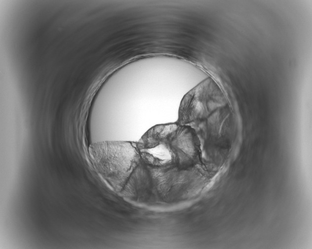 X0000095690145200802051320