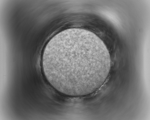 X0000095690146200802051320