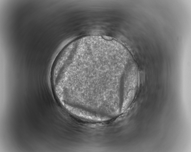 X0000095690147200802051320