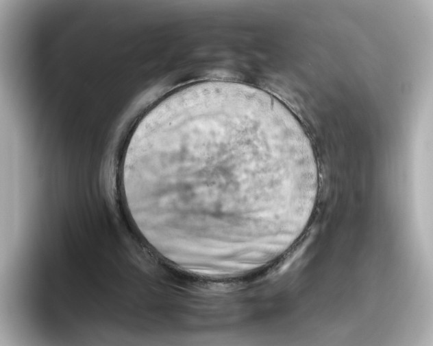 X0000095690149200802051320