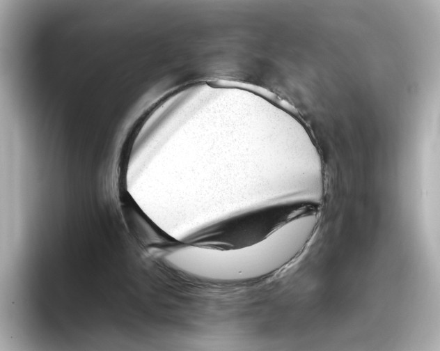 X0000095690150200802051320