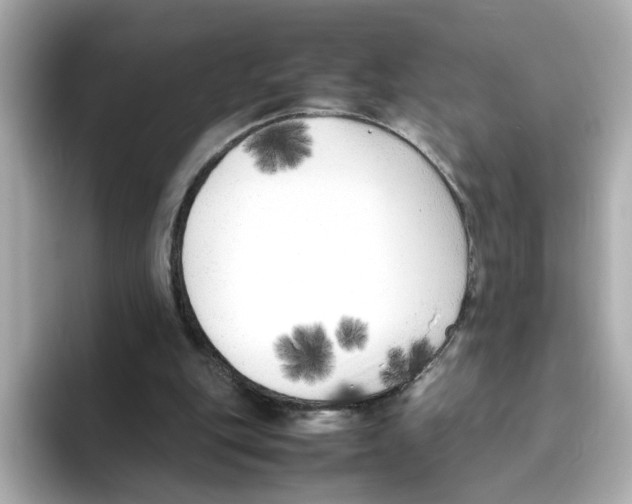 X0000095690151200802051320