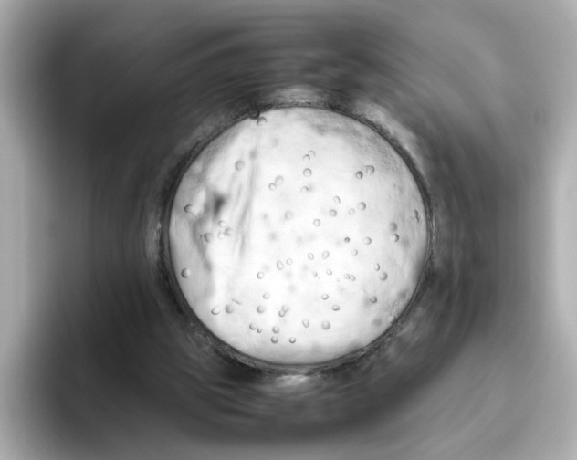 X0000095690153200802051320