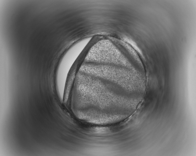 X0000095690154200802051320