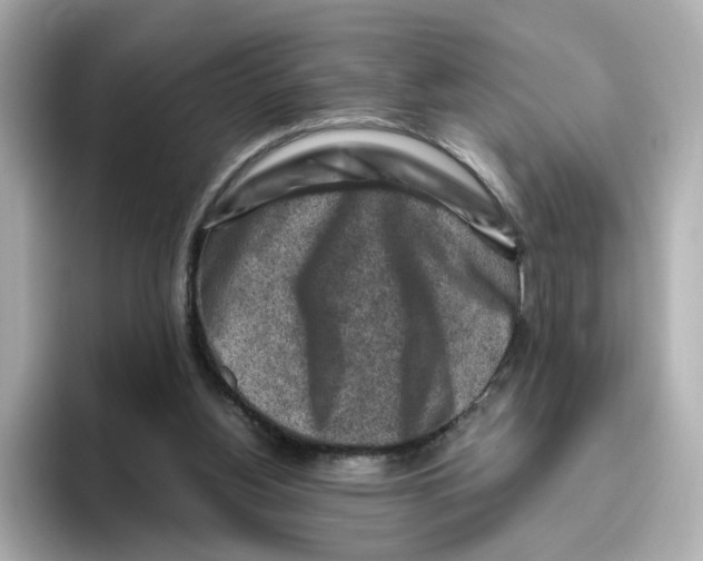 X0000095690156200802051320