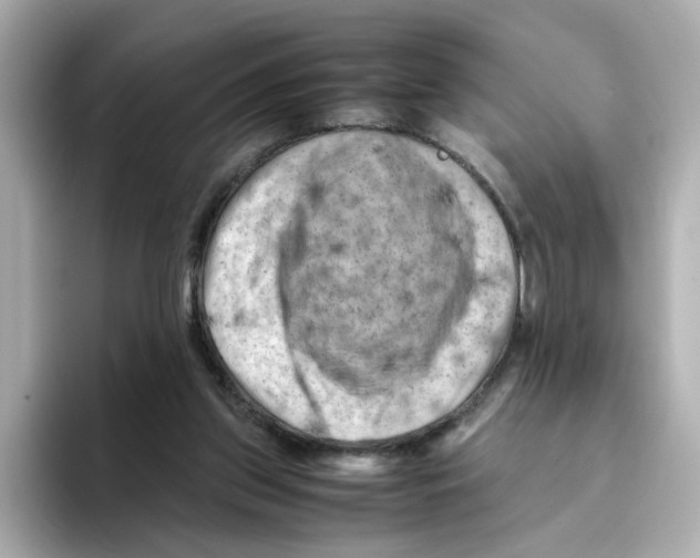 X0000095690157200802051320