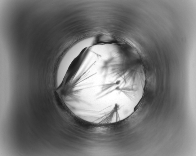 X0000095690158200802051320