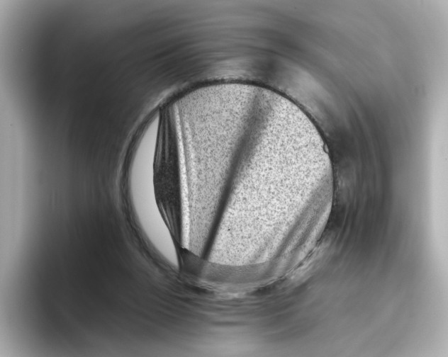 X0000095690160200802051320