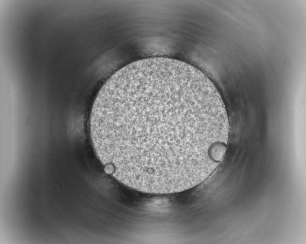 X0000095690162200802051320