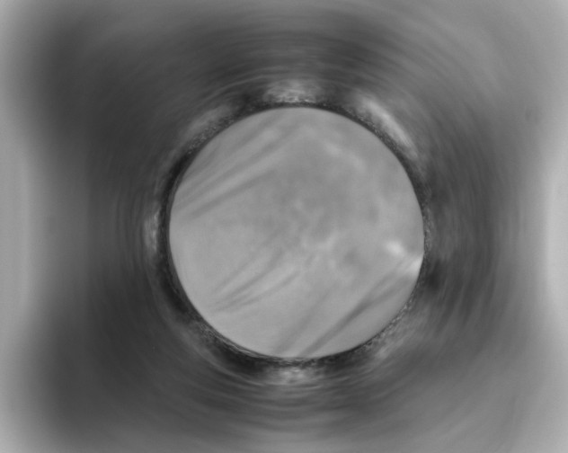 X0000095690163200802051320