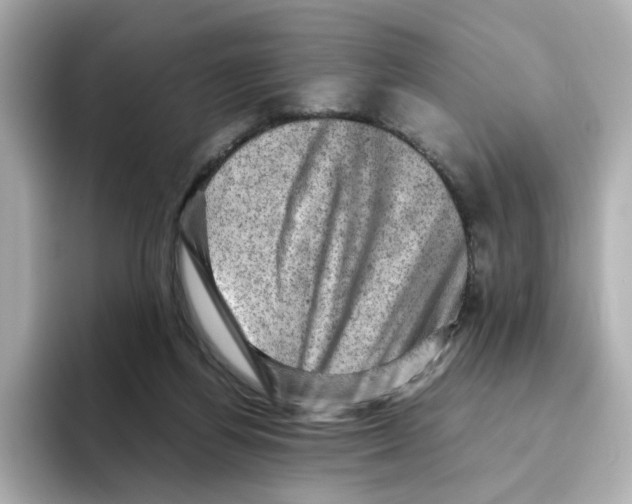 X0000095690164200802051320