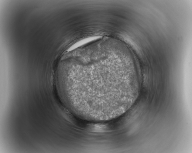 X0000095690165200802051320