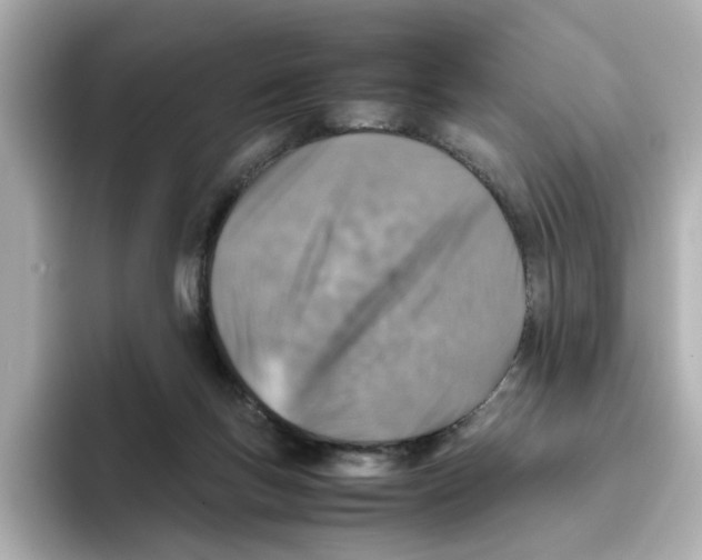X0000095690167200802051320
