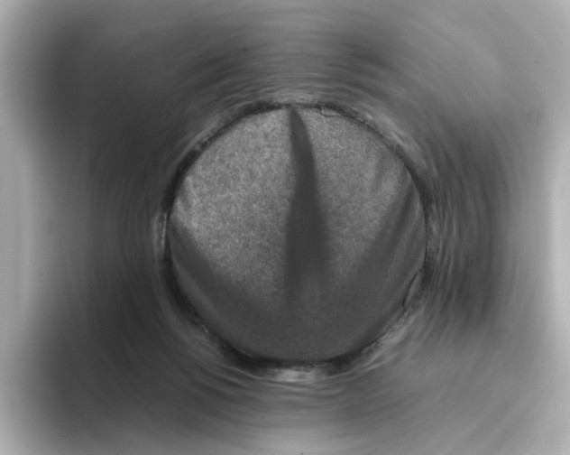 X0000095690168200802051320