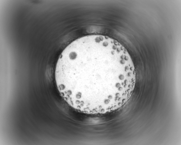 X0000095690171200802051320