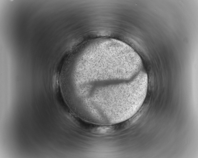 X0000095690172200802051320