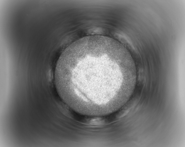 X0000095690173200802051320