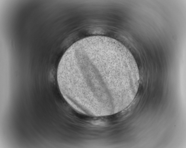 X0000095690175200802051320