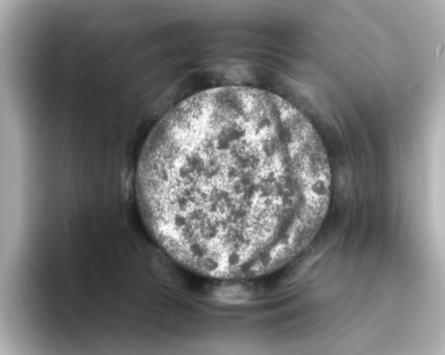 X0000095690177200802051320