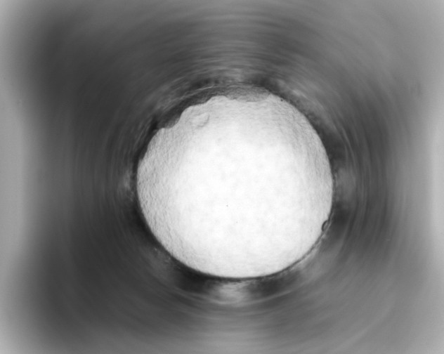 X0000095690178200802051320