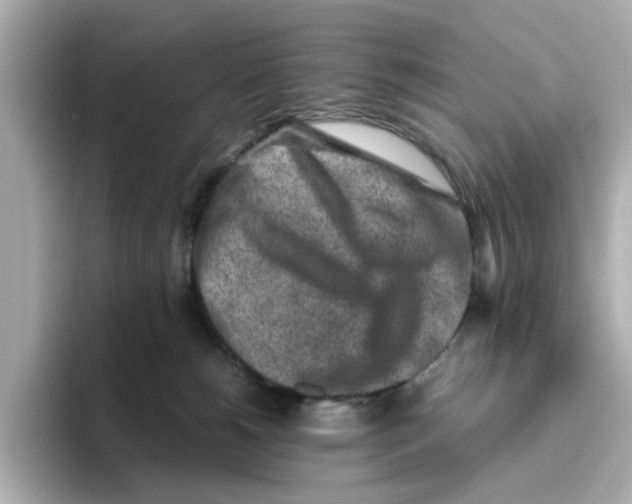 X0000095690180200802051320