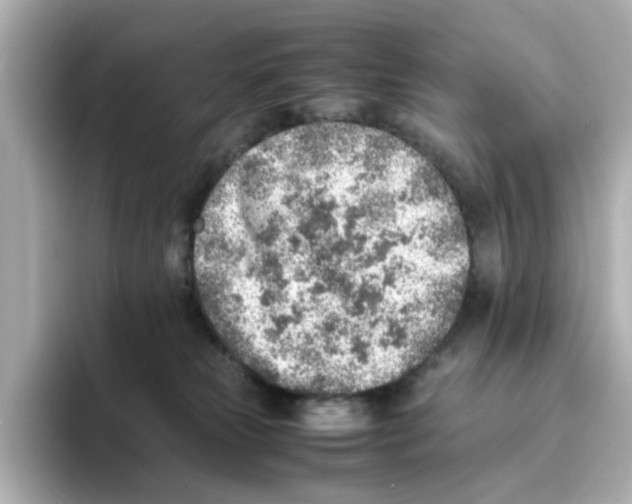 X0000095690181200802051320