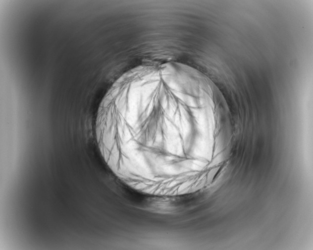 X0000095690182200802051320