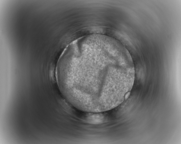 X0000095690185200802051320