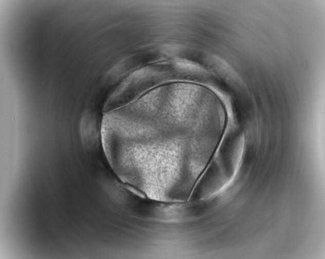 X0000095690186200802051320