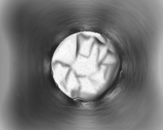 X0000095690188200802051320