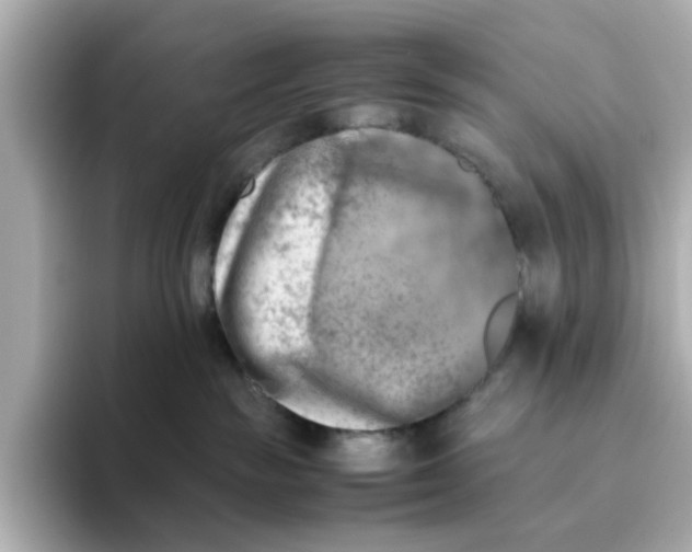 X0000095690189200802051320