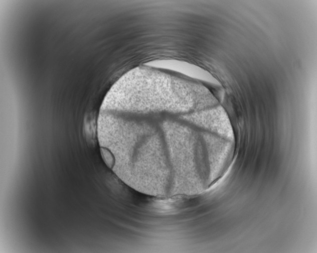 X0000095690190200802051320
