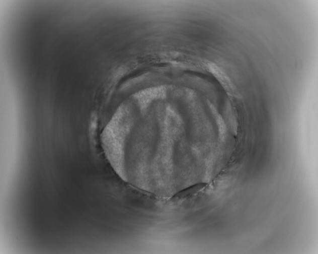 X0000095690192200802051321